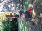 image of grave number 800486